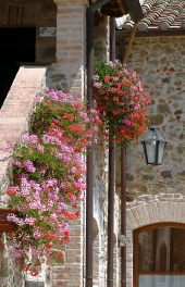 Apartments Historical Residence Relais Borgo Torale - Passignano Lake Trasimeno Umbria Italy