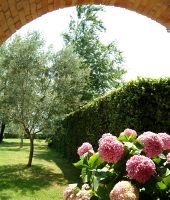 Historical Residence Relais Borgo Torale - Passignano sul Trasimeno Lake Trasimeno Umbria Italy