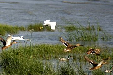 Lago Trasimeno Residenza